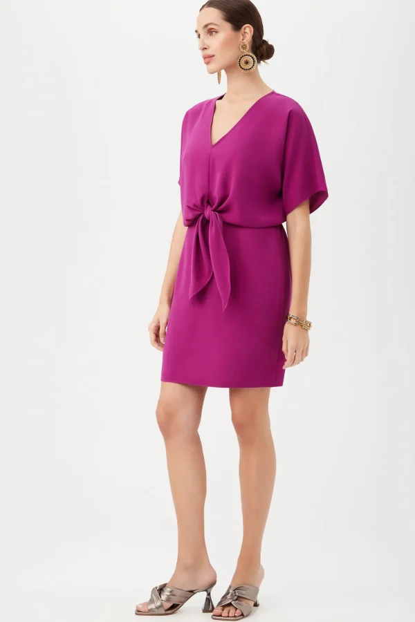 Women Trina Turk Argan Dress