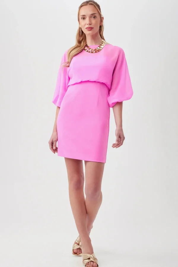 Women Trina Turk Bella Vita Dress