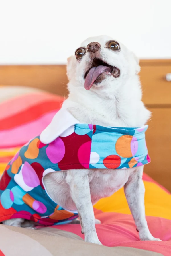 Trina Turk Bubble Dots French Terry Pet Pajama Jacket