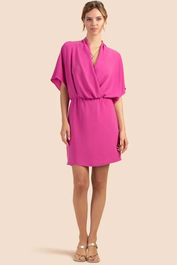 Women Trina Turk Concourse Dress