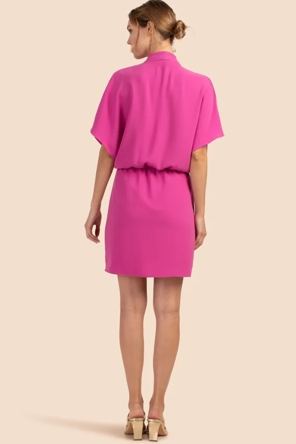 Women Trina Turk Concourse Dress