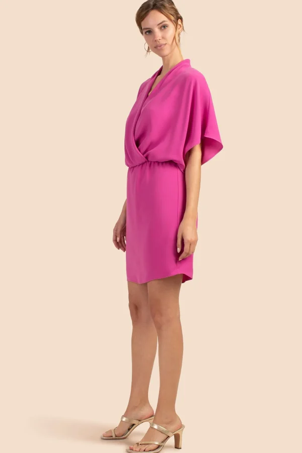 Women Trina Turk Concourse Dress