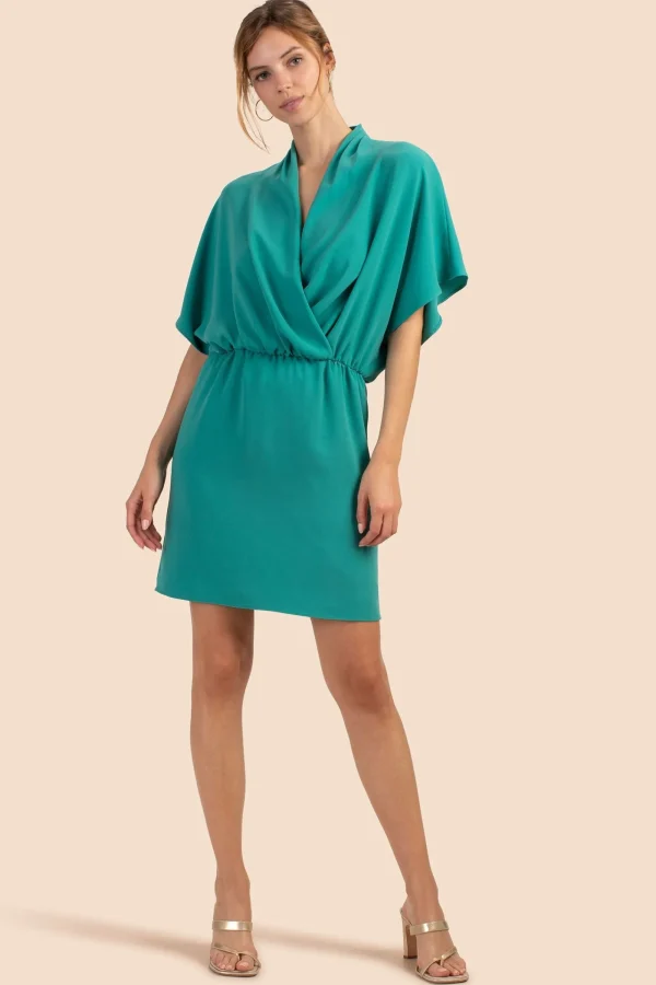Women Trina Turk Concourse Dress