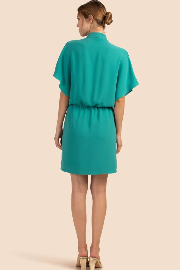 Women Trina Turk Concourse Dress