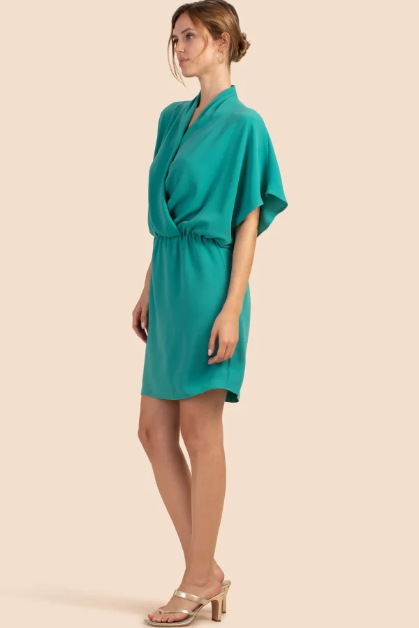 Women Trina Turk Concourse Dress