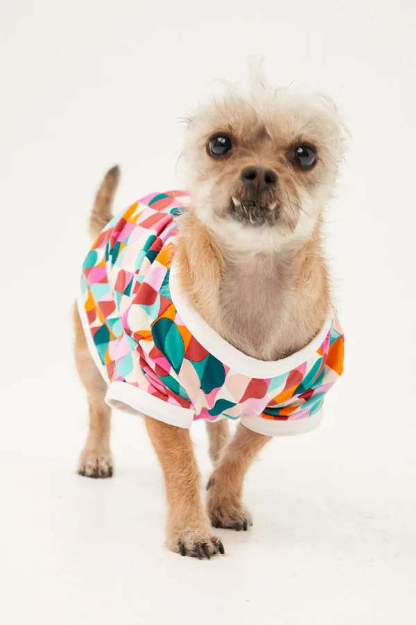 Men Trina Turk Dancing Dots Jersey Pet Pajama Shirt