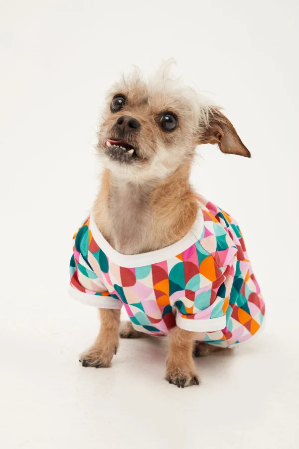 Men Trina Turk Dancing Dots Jersey Pet Pajama Shirt