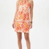 Women Trina Turk Freesia Dress