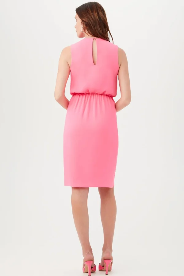Women Trina Turk Genoa Dress