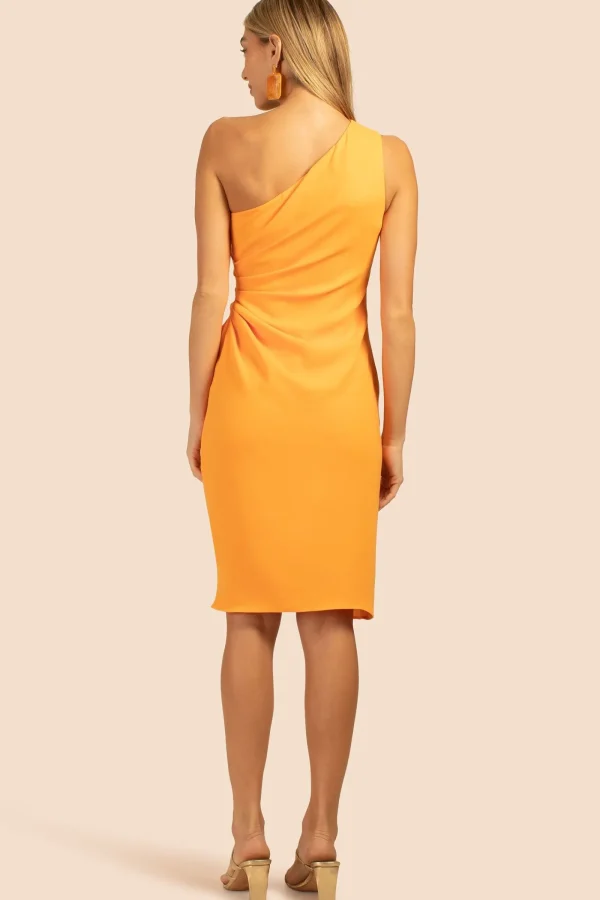 Women Trina Turk Poem Dress
