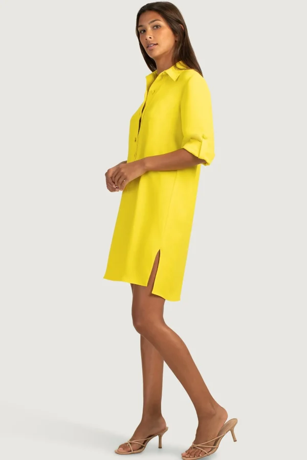 Women Trina Turk Portrait 2 Shirt Dress