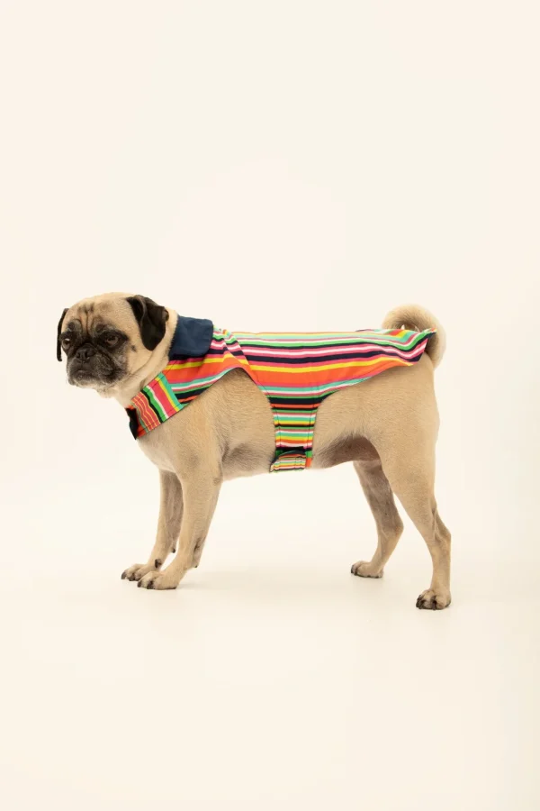 Trina Turk Stripe Lined Pet Pajama